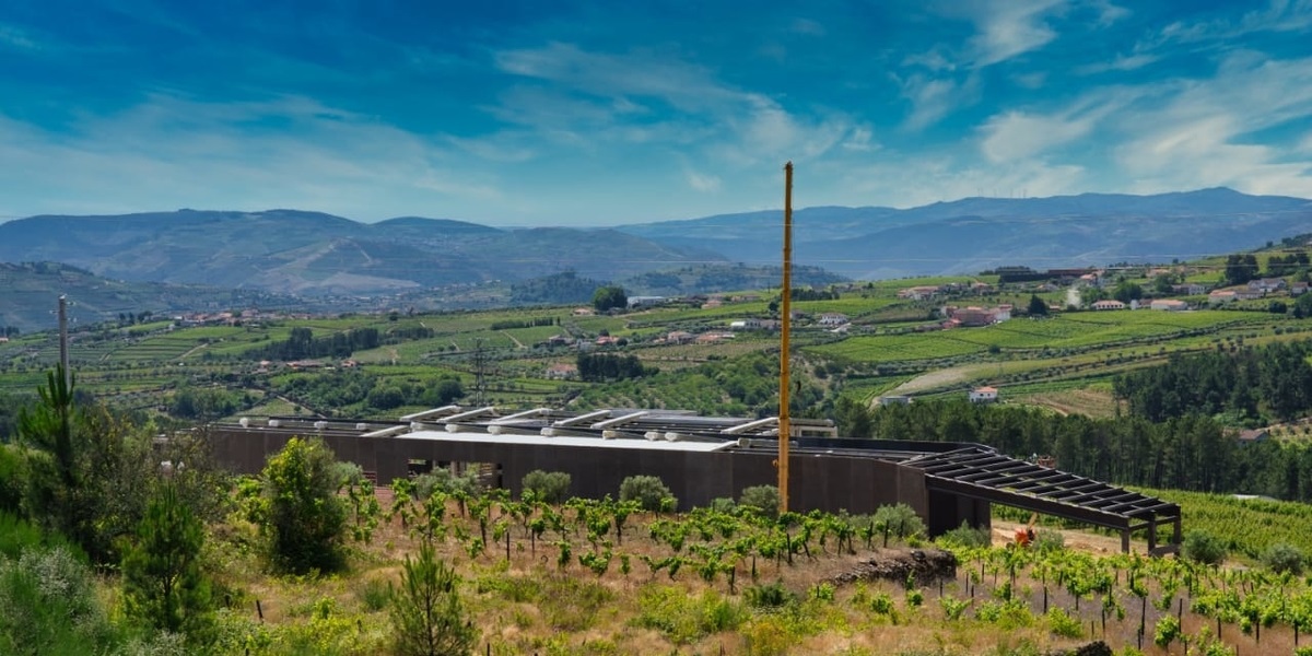 Na nova adega Lavradores de Feitoria 