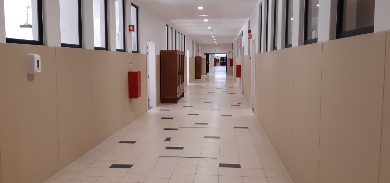 Ano novo, escola renovada 