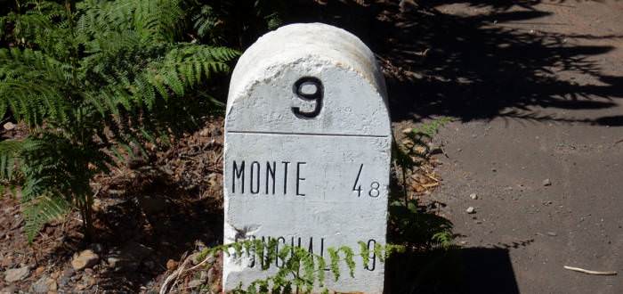 REGIONAL ROAD NETWORK OF RAM