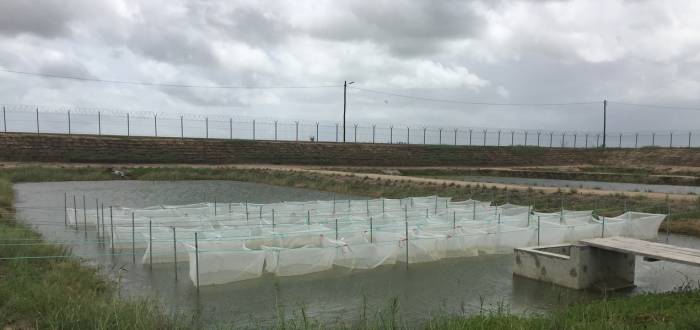 CENTRE D'AQUACULTURE DU CHOKUÉ