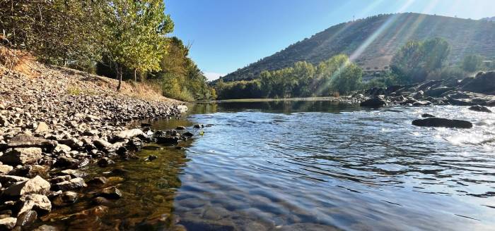 PLANO DE PORMENOR DA QUINTA DE SÃO SILVESTRE